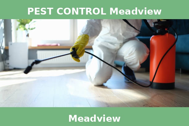 PEST CONTROL Meadview